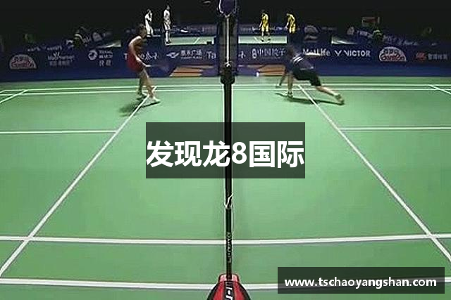 发现龙8国际